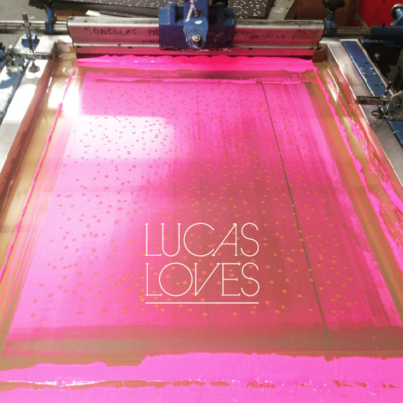 Load video: video by LucasLoves demonstrating screen printing process